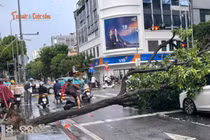 Cây xanh đổ chắn đường Điện Biên Phủ, hai ô tô bị hư hỏng do mưa lớn