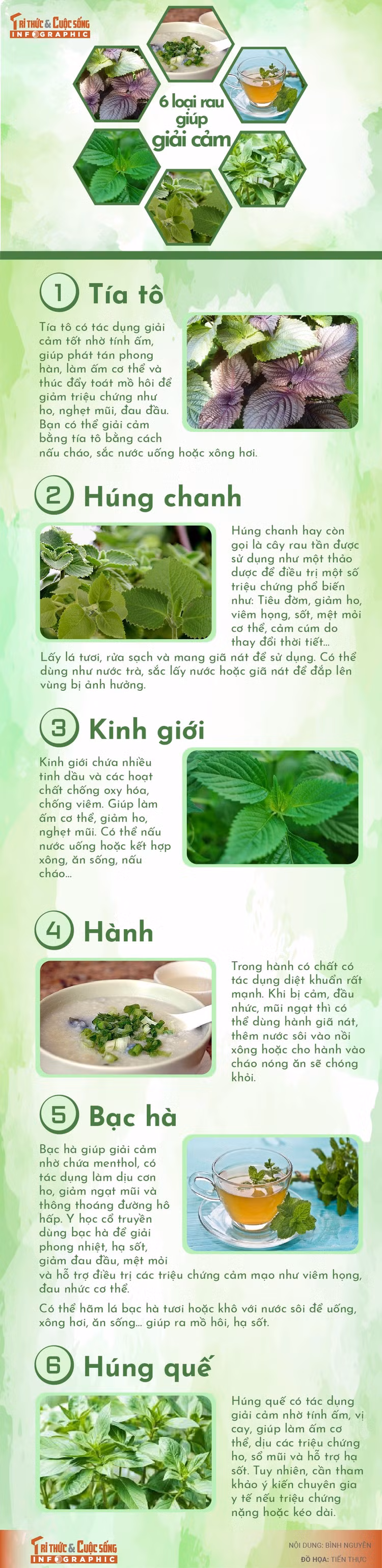 info-6-loairaugiup-giai-cam-01.jpg