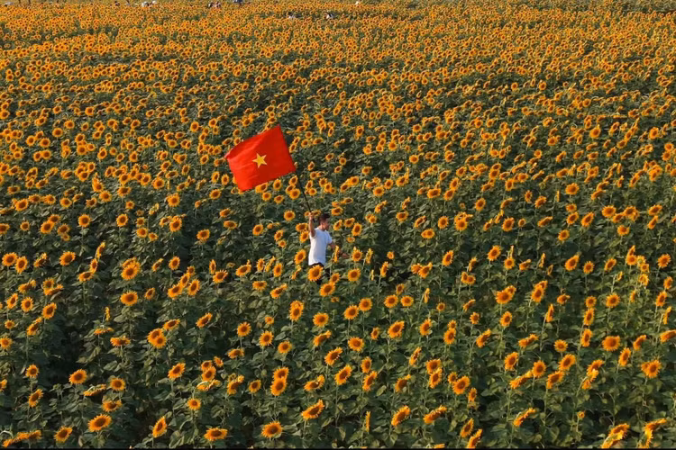 Cách Hà Nội 250 km và trung tâm TP Vinh (cũ) 90-100 km, du khách có thể di chuyển bằng xe khách hoặc ô tô, xe máy theo hướng Vinh - đường Hồ Chí Minh - Nghĩa Đàn để đến tham quan cánh đồng. Đường đi khá thuận tiện, dễ tìm. Hiện khu vực này chưa phát triển dịch vụ ăn uống hay lưu trú, du khách nên tìm chỗ nghỉ tại trung tâm TP Vinh (cũ) hoặc thị xã Thái Hòa (cũ), sau đó di chuyển đến đây vui chơi trong ngày. Ảnh: Quang Kiên.