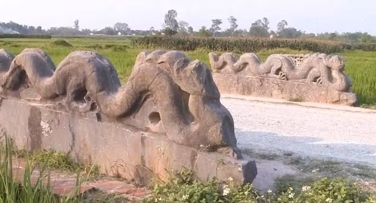 Cận cảnh đôi rồng đá cụt đầu tại Thành nhà Hồ (xã Tây Đô, tỉnh Thanh Hóa). Ảnh: VT