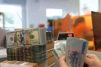 [VIDEO] Cục Thuế chấn chỉnh doanh nghiệp báo lỗ ảo, né thuế hàng loạt