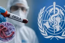 [VIDEO] Ebola gây thiệt mạng 204 người, WHO cảnh báo nguy cơ tại 10 nước châu Phi