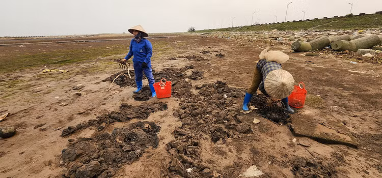 Vat va nghe cong lung di mot 