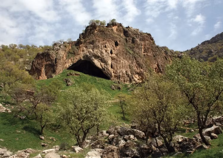 Phuc dung guong mat nguoi phu nu Neanderthal tu hop so bi vo-Hinh-2