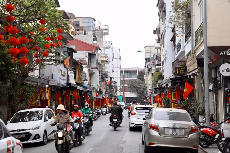 Duong pho Ha Noi ruc ro co hoa chao don xuan Quy Mao 2023-Hinh-12