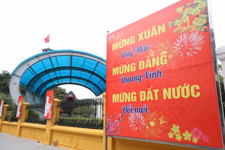 Duong pho Ha Noi ruc ro co hoa chao don xuan Quy Mao 2023-Hinh-8