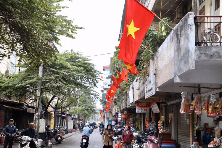 Duong pho Ha Noi ruc ro co hoa chao don xuan Quy Mao 2023-Hinh-11