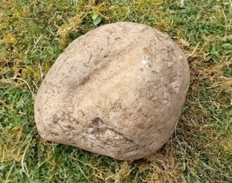 Khai quat mo co o Nauy, chuyen gia tai mat khi thay vat 'la'-Hinh-6