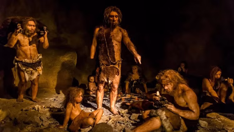 Chan dong bang chung 'sieu suc manh' cua nguoi Neanderthal-Hinh-4