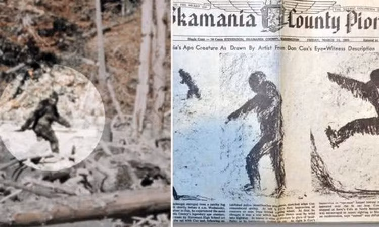 Xem anh cu, bat ngo thay quai vat Bigfoot “hien nguyen hinh”-Hinh-4