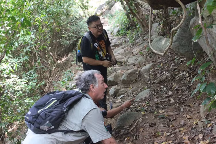 Ngam loai tac ke cuc ma mi, xuat hien duy nhat o Viet Nam-Hinh-9
