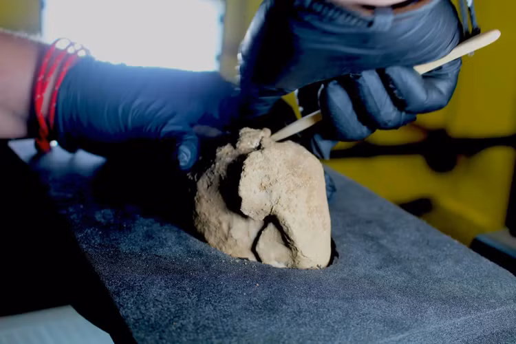 Xây nhà máy điện hạt nhân, phát lộ kho báu tiền cổ - Hình 3 Xay nha may dien hat nhan, phat lo kho bau tien co-Hinh-3
