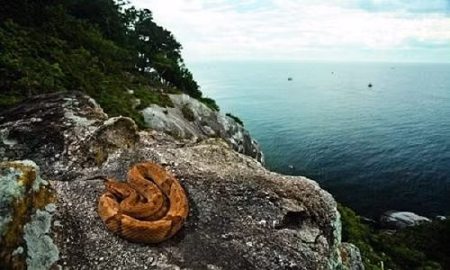 Vung dat bi an nhat hanh tinh luon khien con nguoi khat khao giai ma-Hinh-5