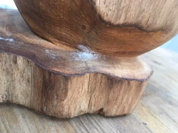 Điểm danh 3 loại gỗ quý hiếm bậc nhất Việt Nam, đại gia săn lùng - Hình 2 Diem danh 3 loai go quy hiem bac nhat Viet Nam, dai gia san lung-Hinh-2