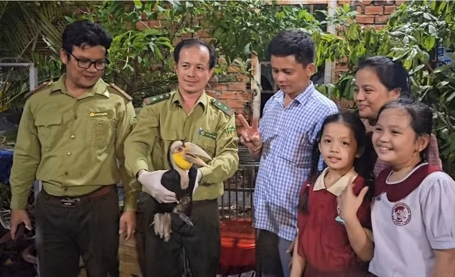 Top động vật đi lạc ở Việt Nam... toàn loài "sánh ngang vàng ngọc" - Hình 8 Top dong vat di lac o Viet Nam... toan loai