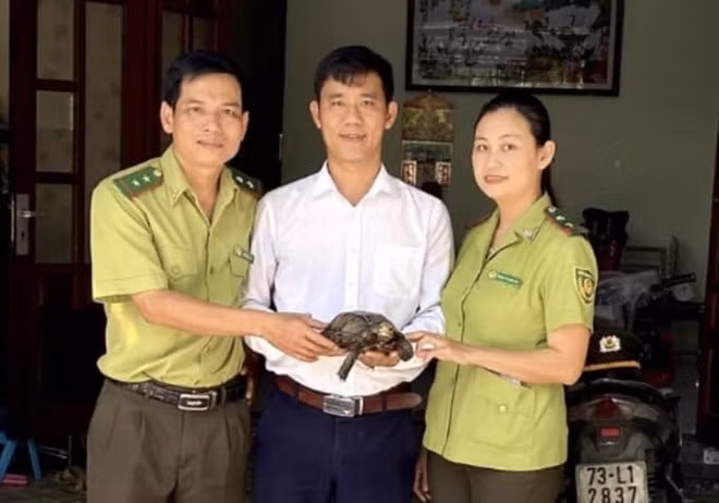 Top động vật đi lạc ở Việt Nam... toàn loài "sánh ngang vàng ngọc" - Hình 10 Top dong vat di lac o Viet Nam... toan loai