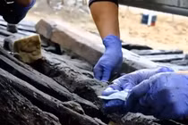 Khai quật xác tàu đắm 15-16 thế kỷ dưới nền chợ cá cổ đại