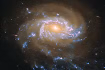 Hình ảnh thiên hà Sứa JO201 qua ống kính Hubble