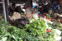 Hà Nội chất vấn về rau vừa phun thuốc bảo vệ thực vật đã được thu hoạch