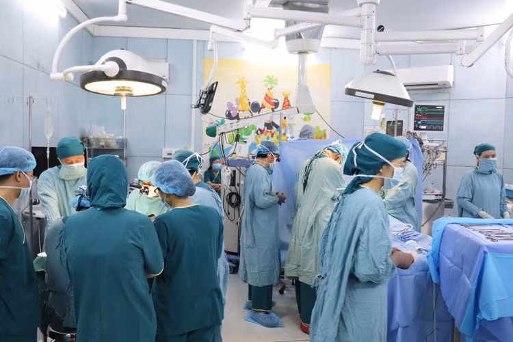 Bệnh viện Nhi đồng 2 tiếp tục ghép gan cho bệnh nhi ảnh 1