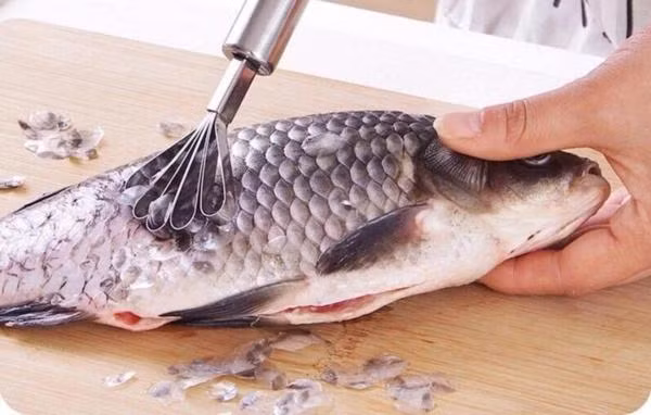 Chuyên gia mách những bộ phận “đại bổ” của cá nhiều người không biết thường bỏ Chuyên gia mách những bộ phận “đại bổ” của cá nhiều người không biết thường bỏ