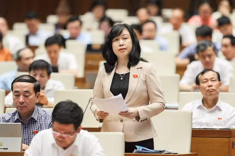 Bộ trưởng Đào Hồng Lan phát biểu trước Quốc hội Bộ trưởng Đào Hồng Lan phát biểu trước Quốc hội