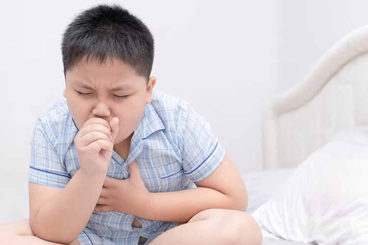 Bác sĩ chỉ cho mẹ một số cách khắc phục tình trạng ho đờm ở trẻ Bác sĩ chỉ cho mẹ một số cách khắc phục tình trạng ho đờm ở trẻ