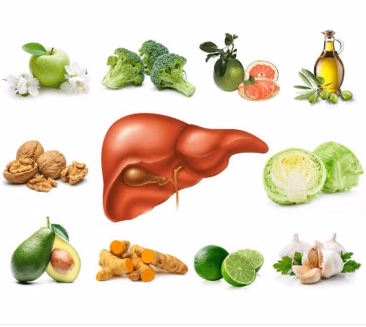 Rau quả là nguồn cung cấp các vitamin và khoáng chất cần thiết cho sự sống và phát triển của cơ thể Rau quả là nguồn cung cấp các vitamin và khoáng chất cần thiết cho sự sống và phát triển của cơ thể