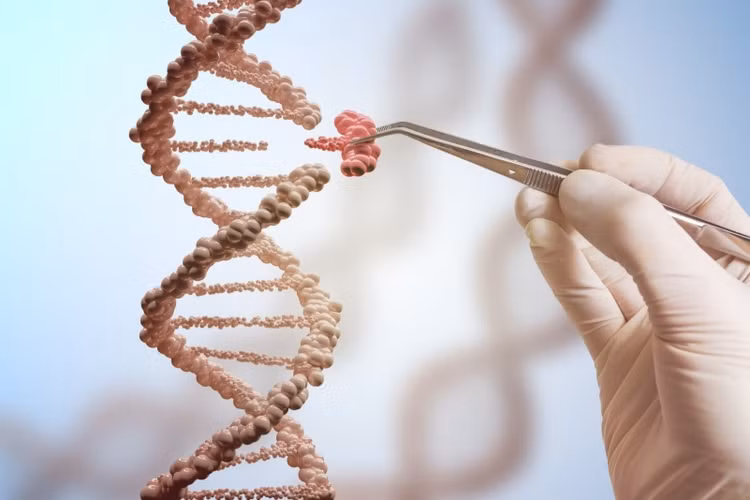 Bác sĩ mách cách phát hiện ung thư do đột biến gene trước khi mắc bệnh ảnh 1 Bác sĩ mách cách phát hiện ung thư do đột biến gene trước khi mắc bệnh ảnh 1