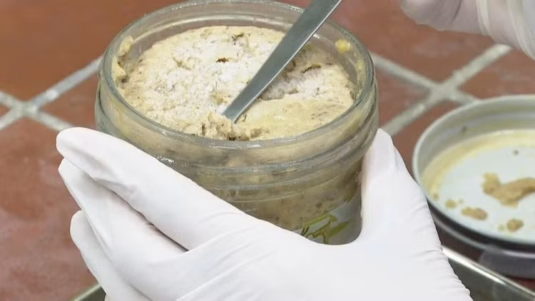 Pate chế biến và bảo quản sai cách dễ ngộ độc Botulinum. Pate chế biến và bảo quản sai cách dễ ngộ độc Botulinum.