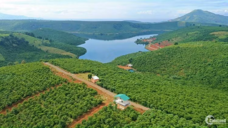 Một góc hồ Đắk Long Thượng - Ảnh: Cafeland Một góc hồ Đắk Long Thượng - Ảnh: Cafeland