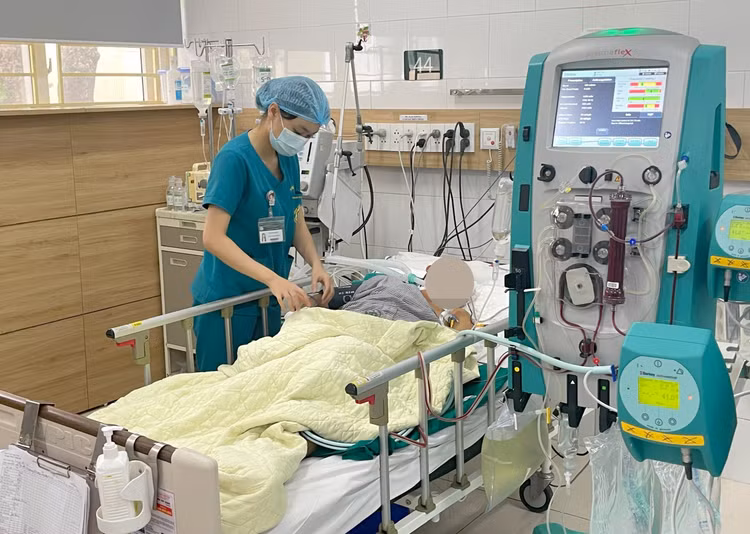 Cả gia đình 5 người bị ngộ độc sau khi ăn nấm rừng, ba người đã tử vong