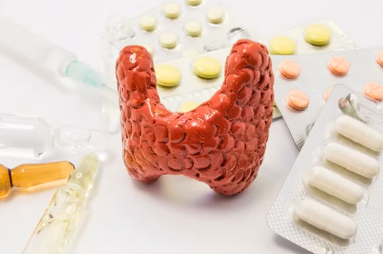Bệnh lý tuyến giáp gây ảnh hưởng đến tim - Ảnh minh họa
