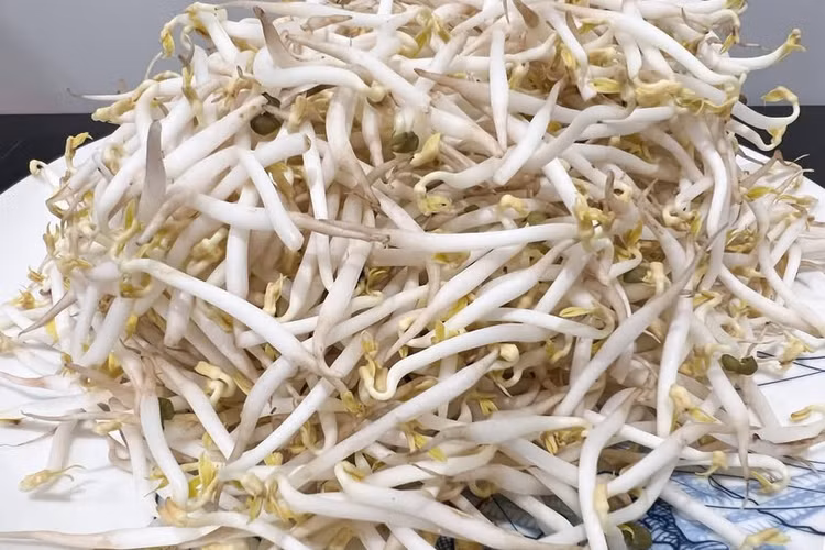 Những người đại kỵ với giá đỗ, chớ dại ăn - Ảnh BSCC