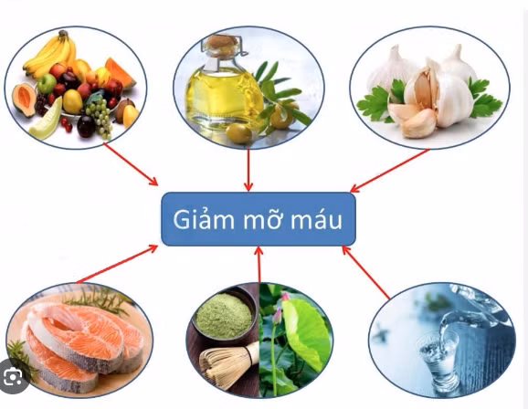 Bác sĩ mách cách giảm mỡ máu bằng những thực phẩm có trong tủ lạnh -Ảnh minh họa