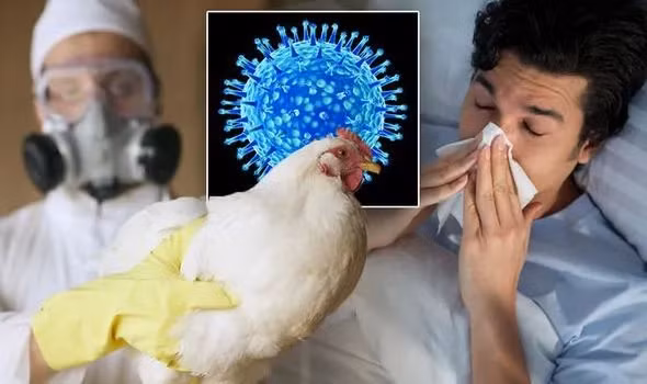 Người bệnh nhiễm cúm A/H5N1 thường có những biểu hiện giống với cúm thông thường, dễ bị nhầm lẫn và kèm theo một số dấu hiệu nguy hiểm hơn, không nên chủ quan - Ảnh minh hoạ Người bệnh nhiễm cúm A/H5N1 thường có những biểu hiện giống với cúm thông thường, dễ bị nhầm lẫn và kèm theo một số dấu hiệu nguy hiểm hơn, không nên chủ quan - Ảnh minh hoạ