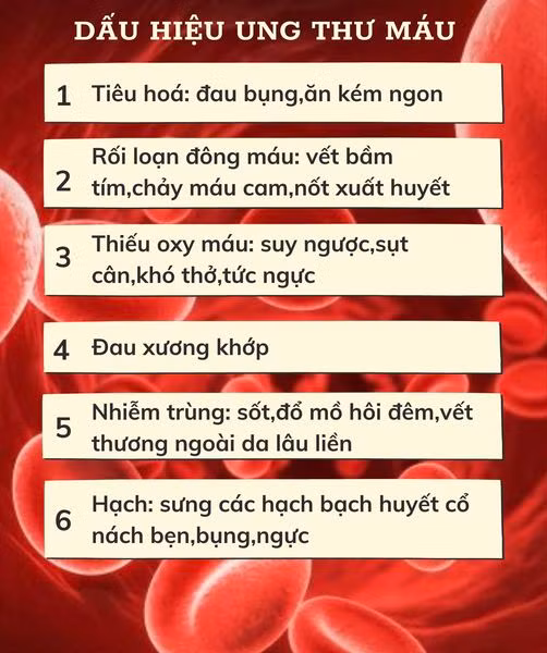 Bác sĩ chỉ rõ những dấu hiệu cảnh báo ung thư máu ảnh 1 Bác sĩ chỉ rõ những dấu hiệu cảnh báo ung thư máu ảnh 1