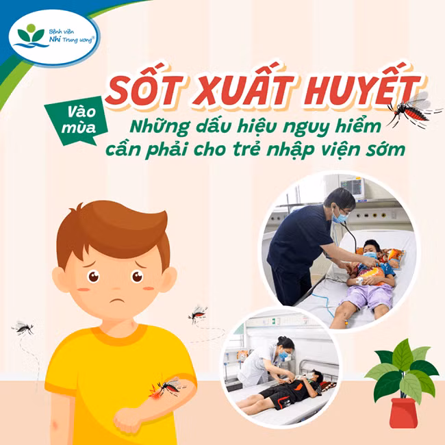 Cần phòng tránh sốt xuất huyết biến chứng - Ảnh BV Nhi Trung ương