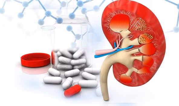 Cách phòng tránh suy thận, hậu quả từ việc dùng thuốc không theo chỉ định - Ảnh BVCC