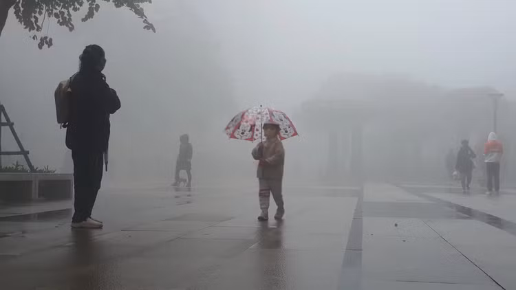 Cách phòng chống các bệnh khi sương mù dày đặc và độ ẩm cao ảnh 1 Cách phòng chống các bệnh khi sương mù dày đặc và độ ẩm cao ảnh 1