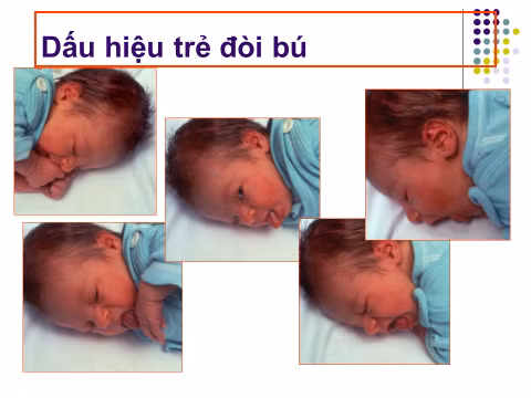 Ảnh BSCC