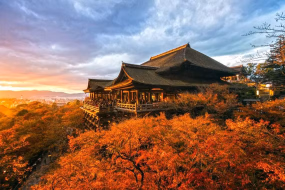 Khách Việt nhộn nhịp săn tour xuất ngoại ngắm lá đổi màu