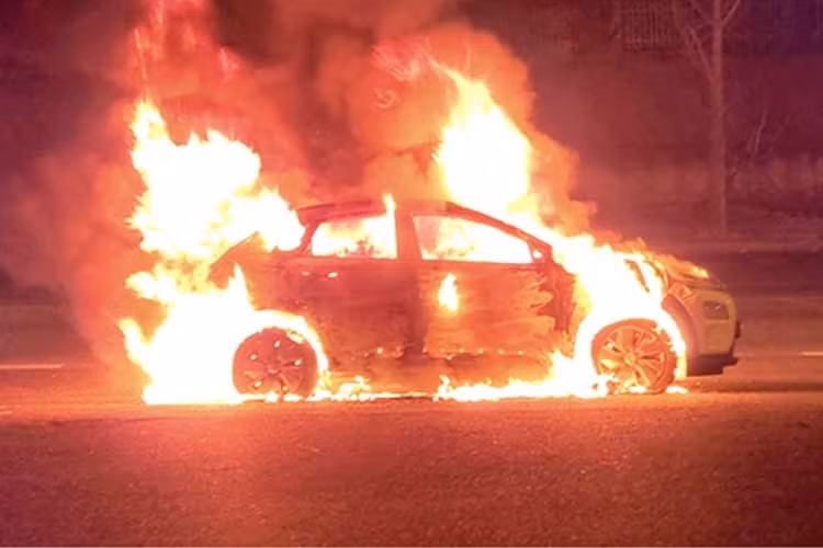 2-4317.jpg