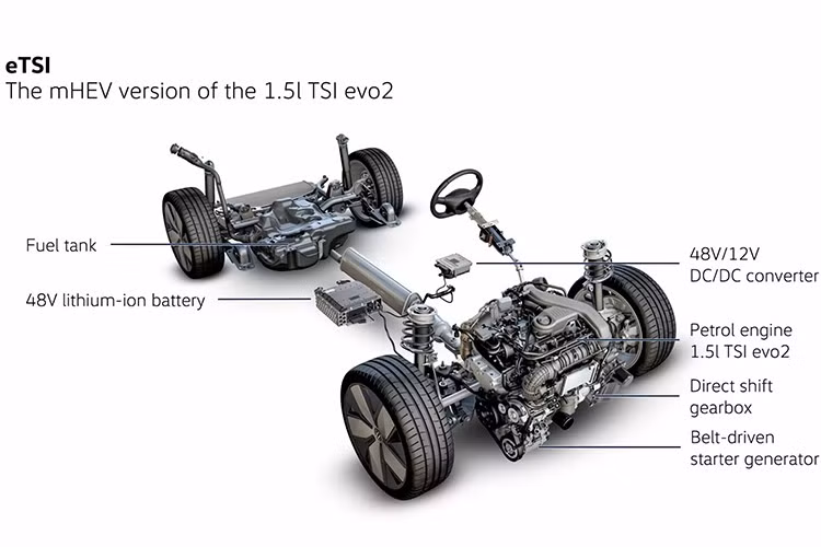 13-9113.jpg