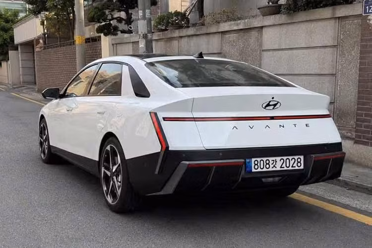 6-4855.jpg