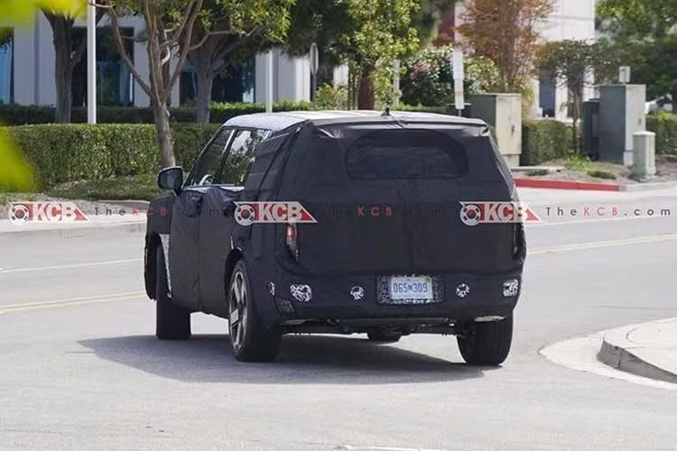 6-6665.jpg