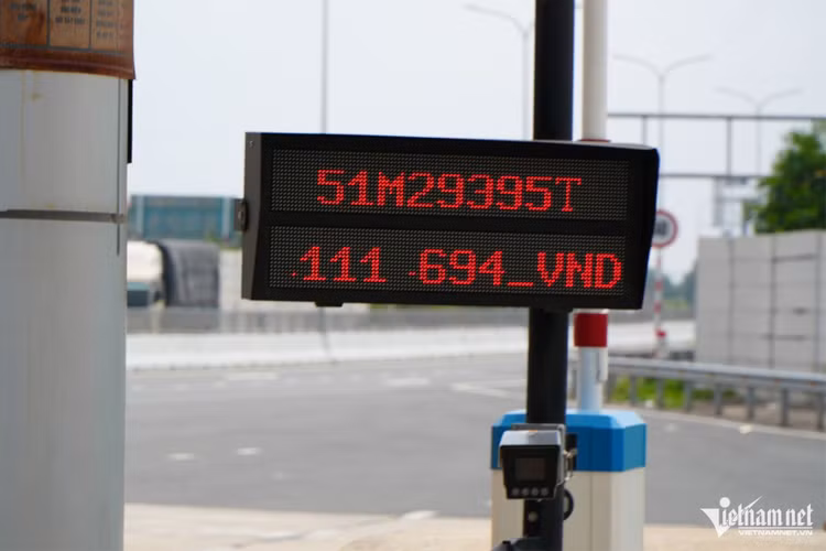 4-6682.jpg