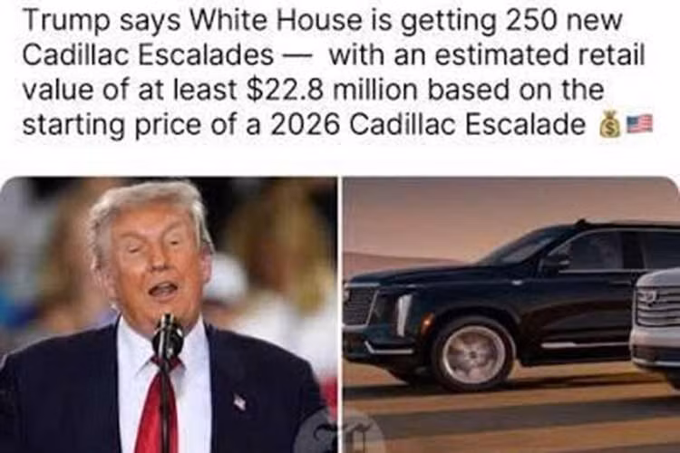 2-7993.jpg