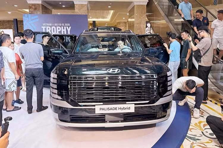 11-5500.jpg